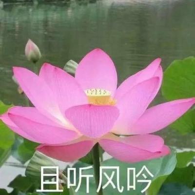 元素守护者3d手游下载